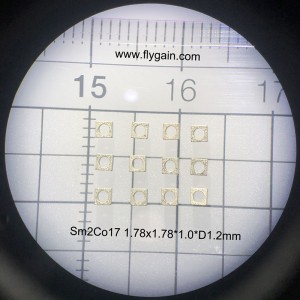 Micro Precision SmCo ringmagnet til mobil motor